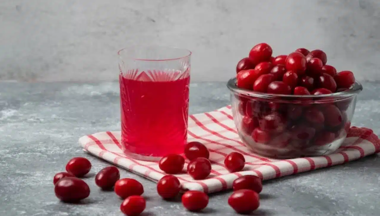 Cranberry Bourbon Sour