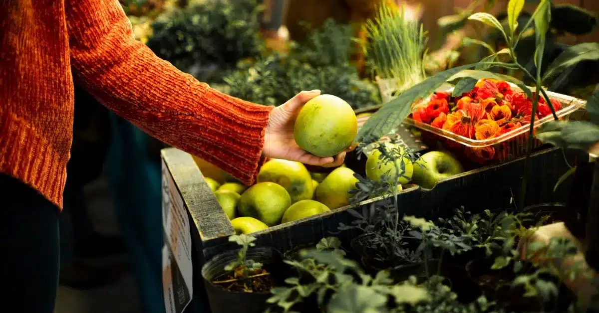 Daily Harvest offers a variety of fresh, plant-based meals at affordable prices. (Image: A person reaching for a fresh, green apple at a farmers market stall.)