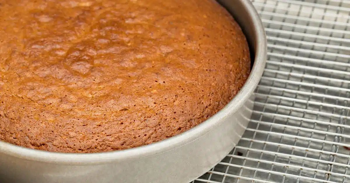 Sponge cake cooling on a rack